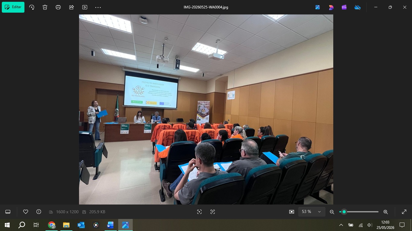 Jornada final de resultados en el Centro Universitario de Plasencia