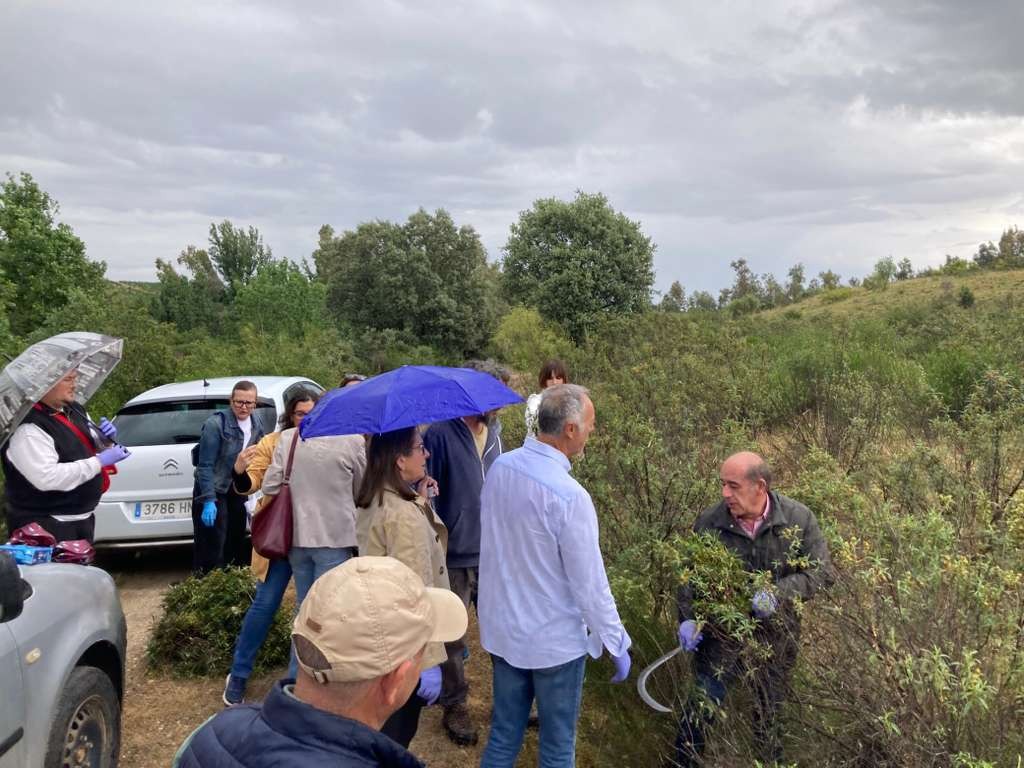 Jornada de transferencia en Alagón del Río: aprovechamiento de la jara pringosa de la recolección a la destilación