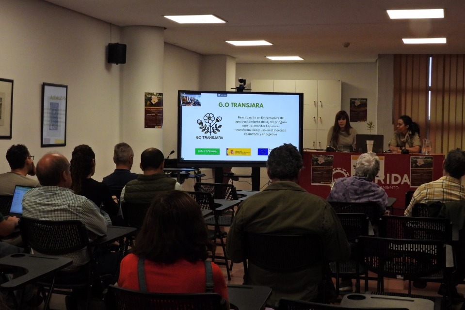 GO TRANSJARA organiza la Mesa Interprofesional de la Jara Pringosa en Mérida